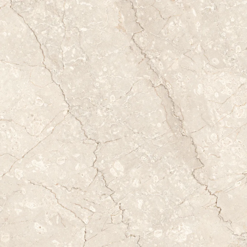 ROYAL BOTTOCHINO_R2.webp