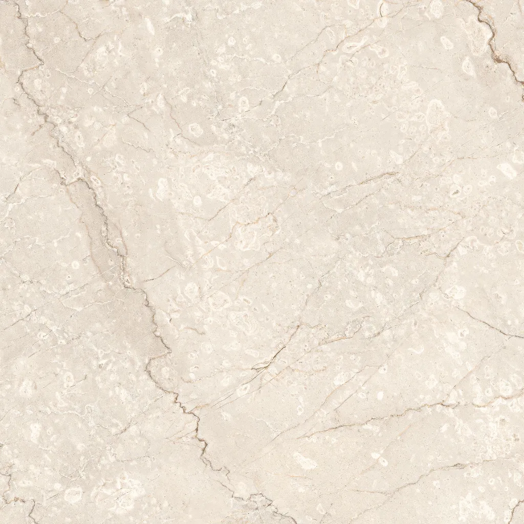 ROYAL BOTTOCHINO_R3.webp