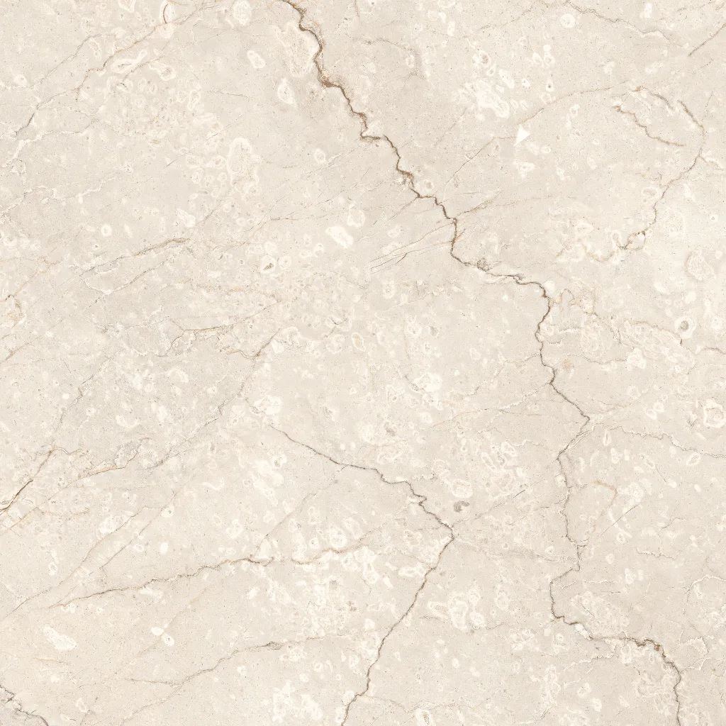 ROYAL BOTTOCHINO_R1.webp