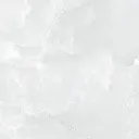 ANTICO BIANCO-7 (60x60).webp