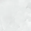 ANTICO BIANCO-2 (60x60).webp