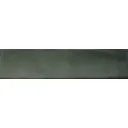 Pasha Forest Single.webp