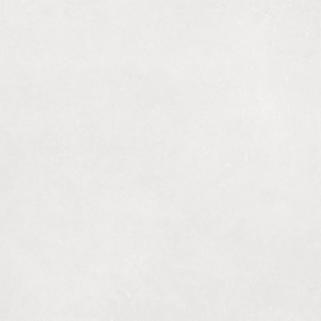 Harbour Bone (2).webp