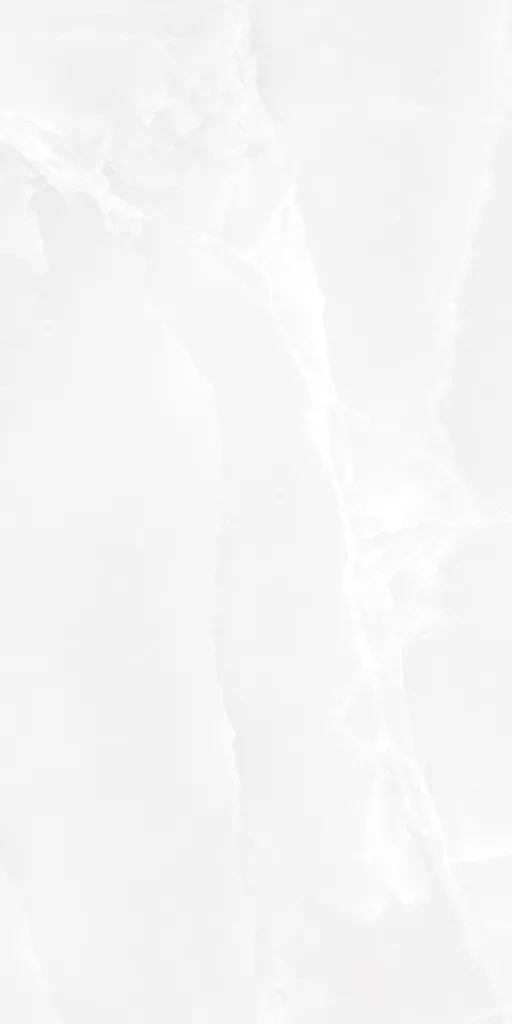 BOLD ONYX WHITE_F4.webp