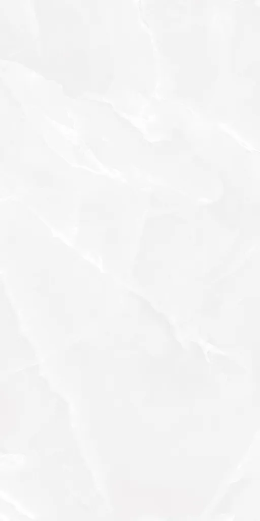 BOLD ONYX WHITE_F1.webp