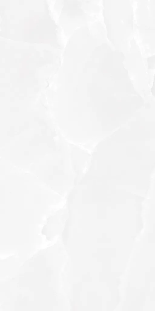 BOLD ONYX WHITE_F6.webp