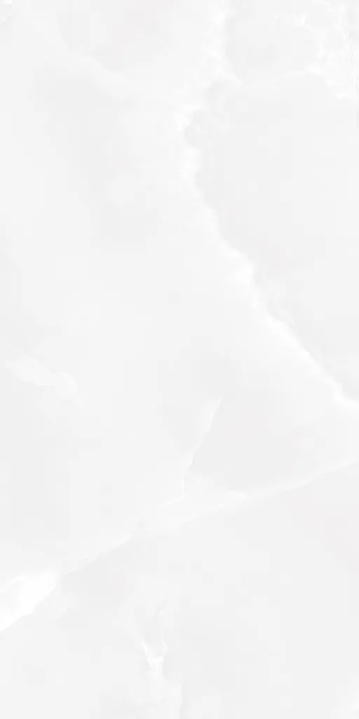 BOLD ONYX WHITE_F5.webp