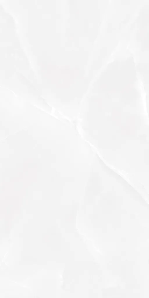 BOLD ONYX WHITE_F3.webp