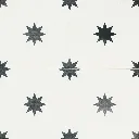 Star White.webp