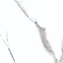 Calacatta Lapatto (6).webp