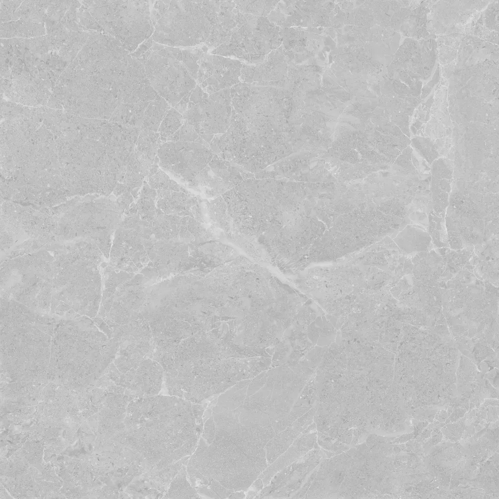 Roma -light Grey-600600-5.webp