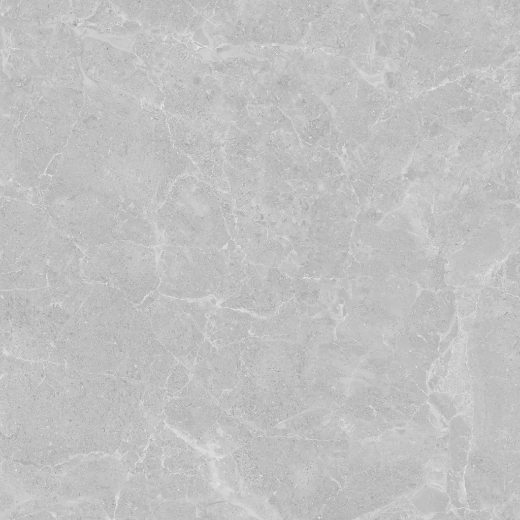 Roma -light Grey-600600-1.webp