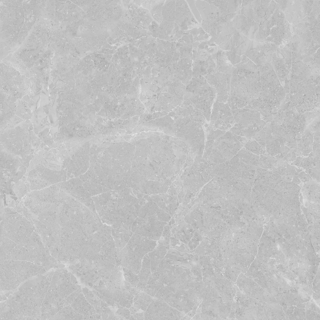 Roma -light Grey-600600-9.webp