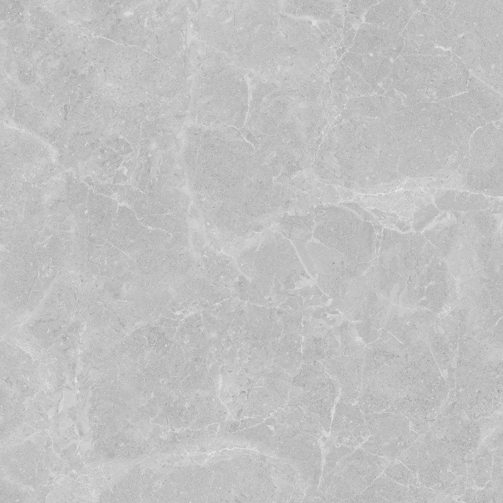 Roma -light Grey-600600-4.webp