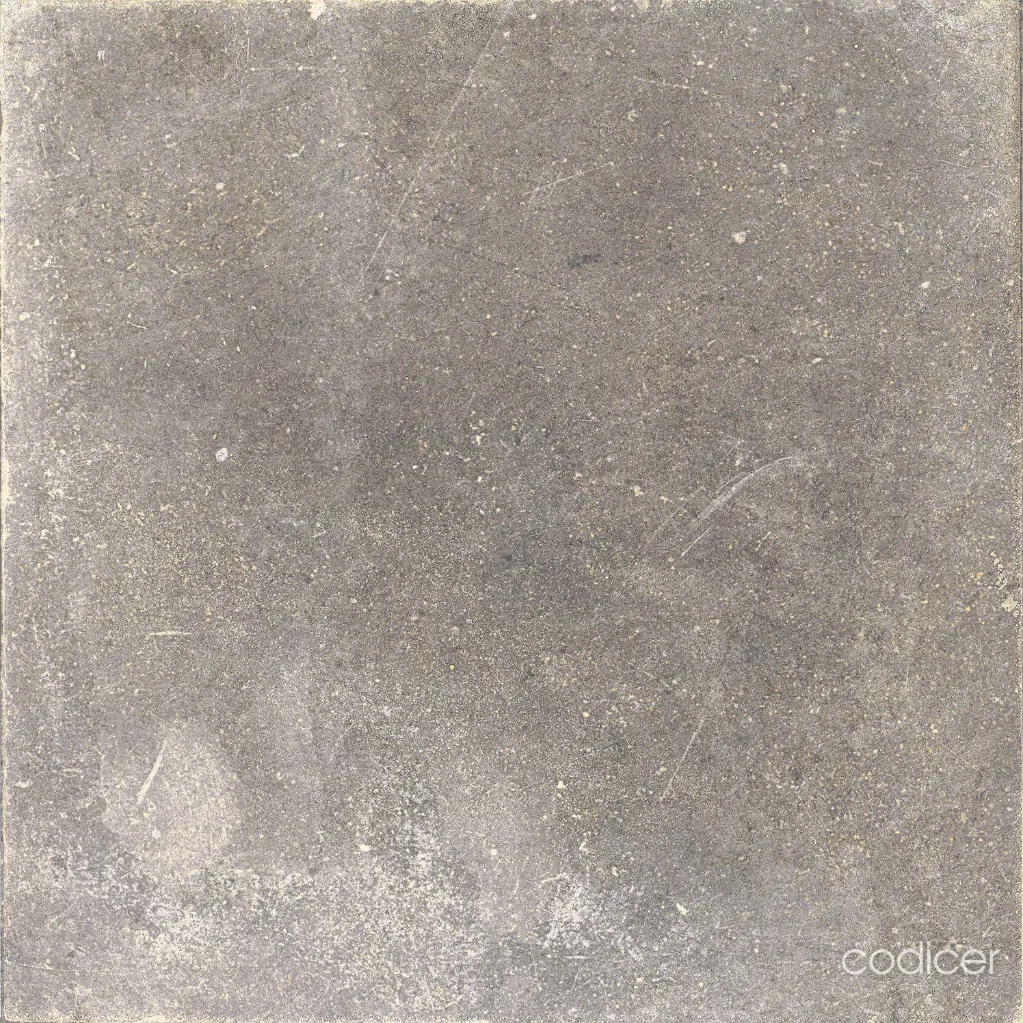 CODICER_magmagrey_20211128222226.webp