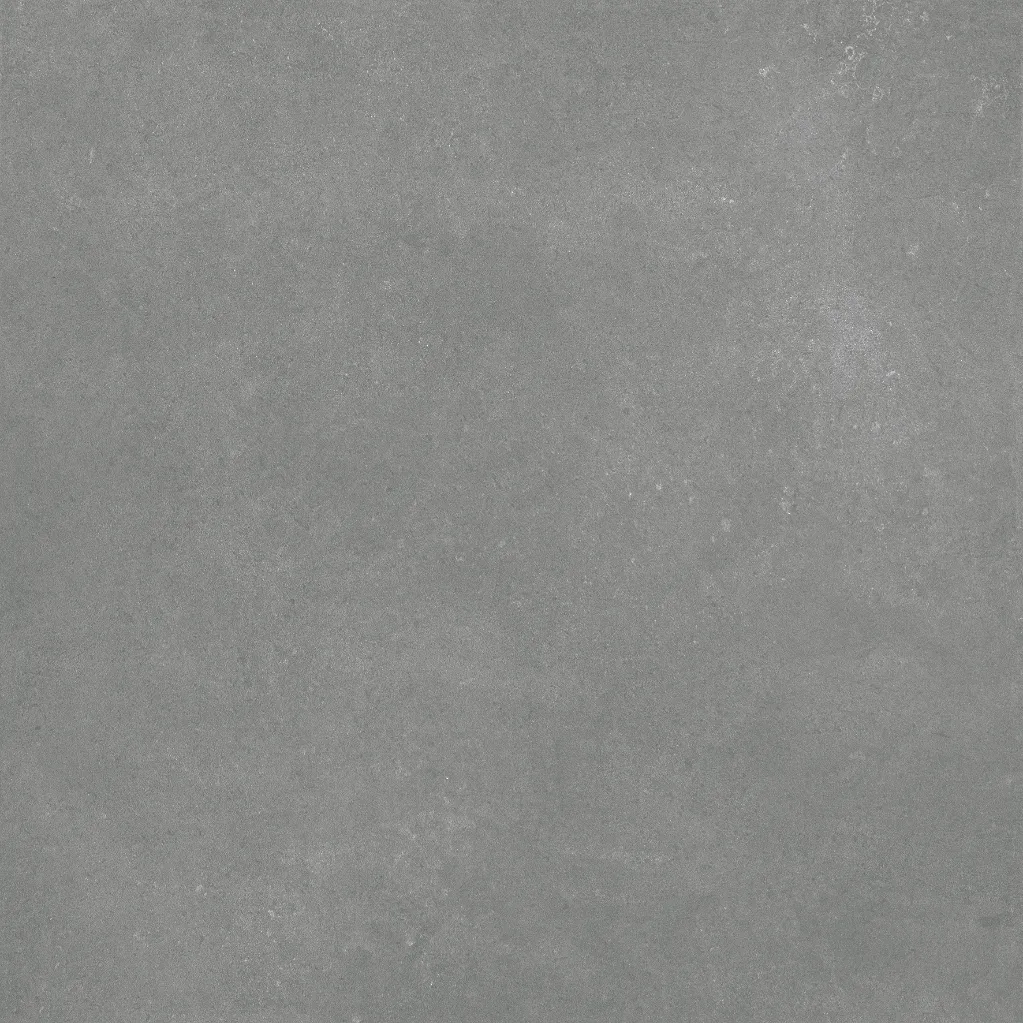 Harbour Coal (2).webp