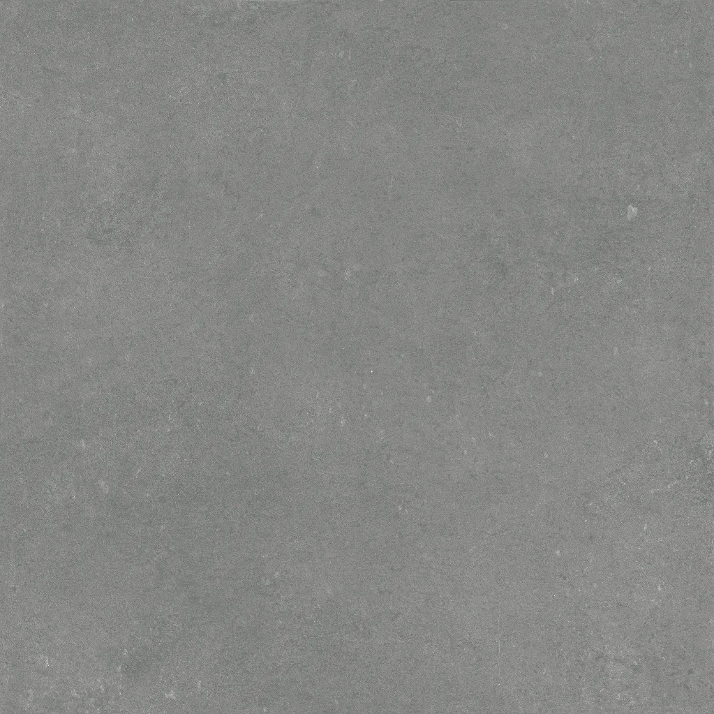 Harbour Coal (5).webp