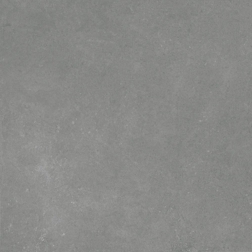 Harbour Coal (1).webp