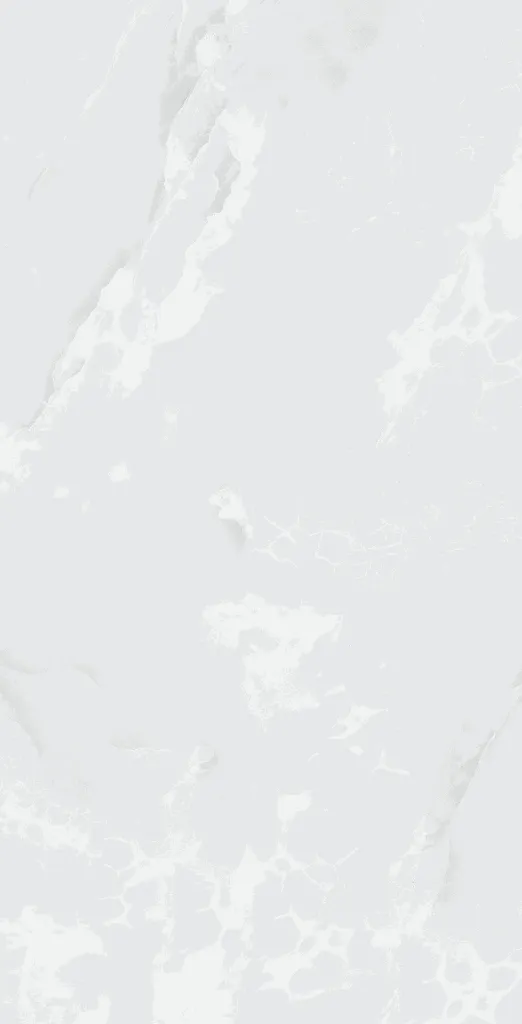 ANTICO_BIANCO-8_(60x120)_4016x7878[1].webp