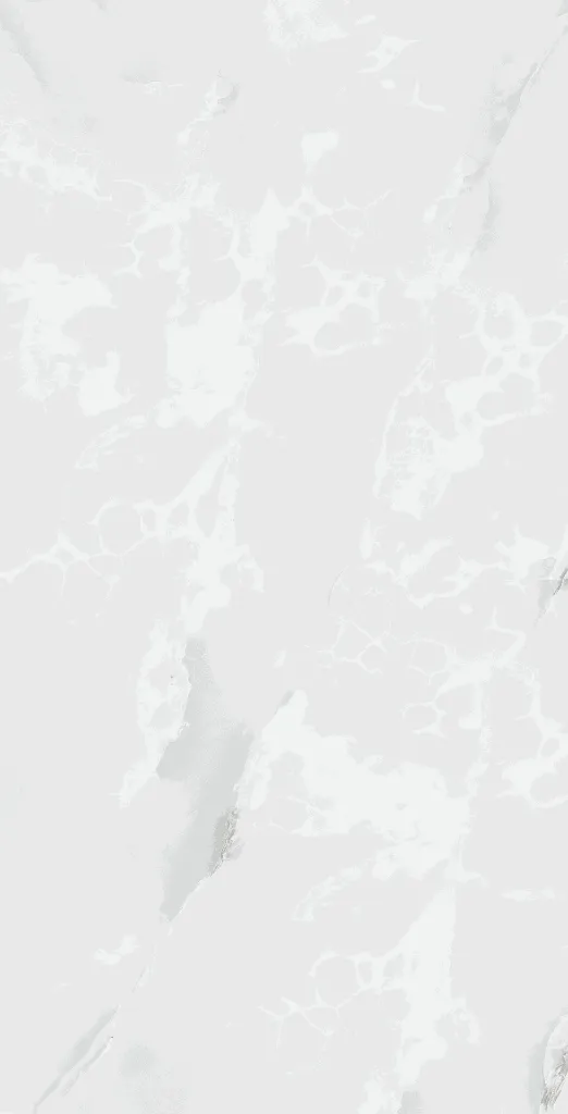 ANTICO_BIANCO-4_(60x120)_4016x7878[1].webp