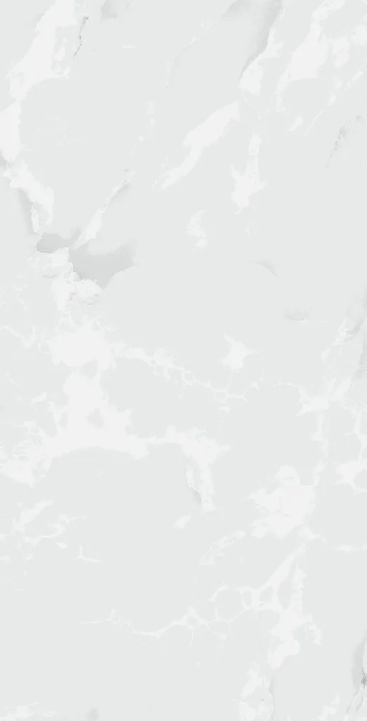ANTICO_BIANCO-3_(60x120)_4016x7878[1].webp