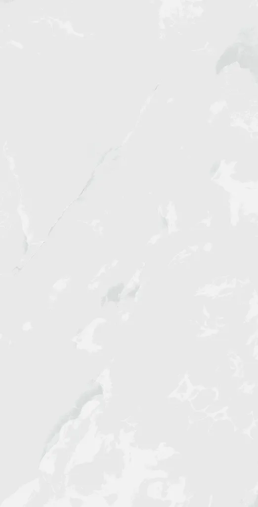 ANTICO_BIANCO-2_(60x120)_4016x7878[1].webp
