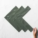 Pasha Forest 75x300 Gloss