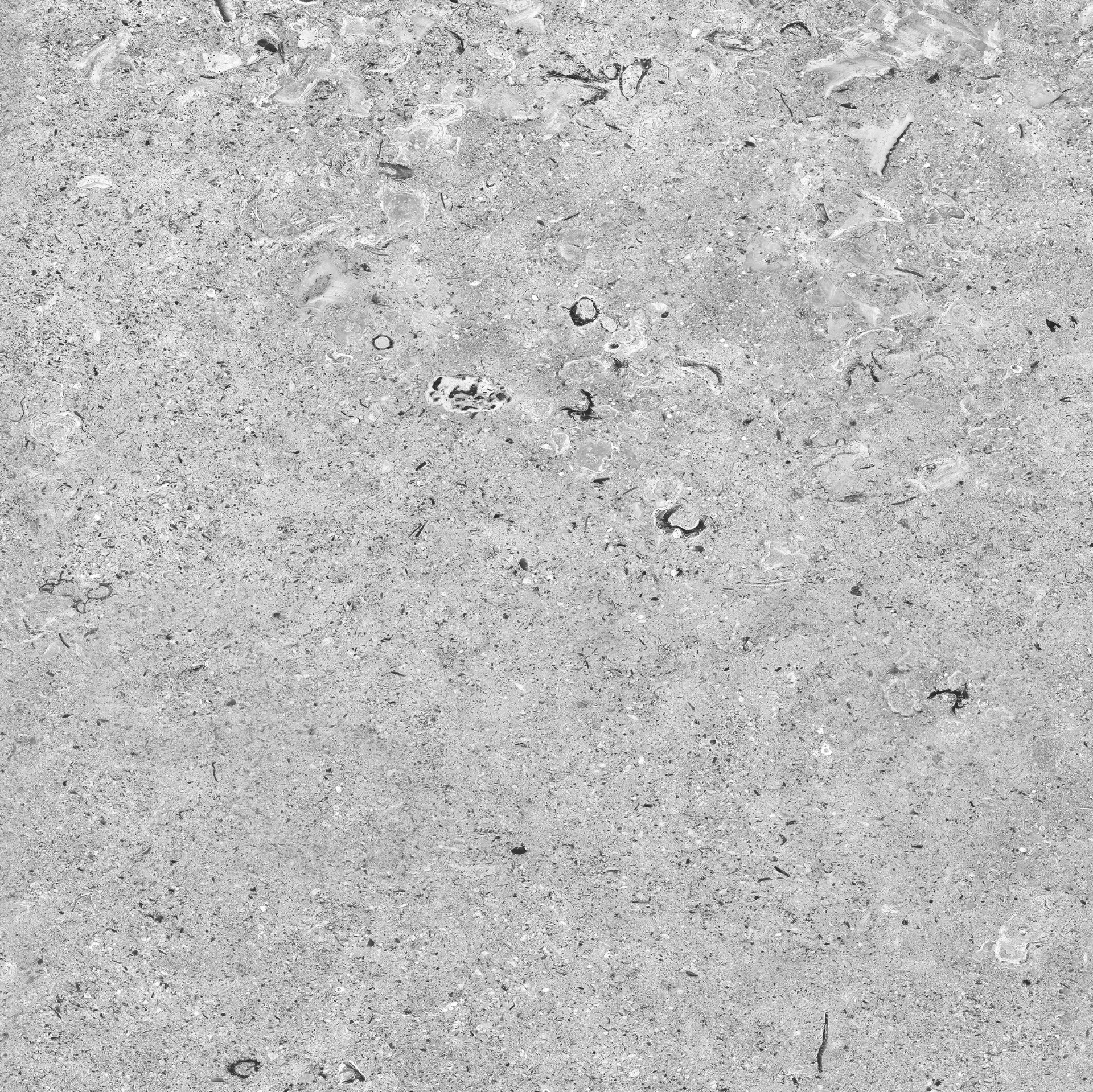 [FOSSILDGOD] Fossil Mid Grey 600x600 Smooth Grip