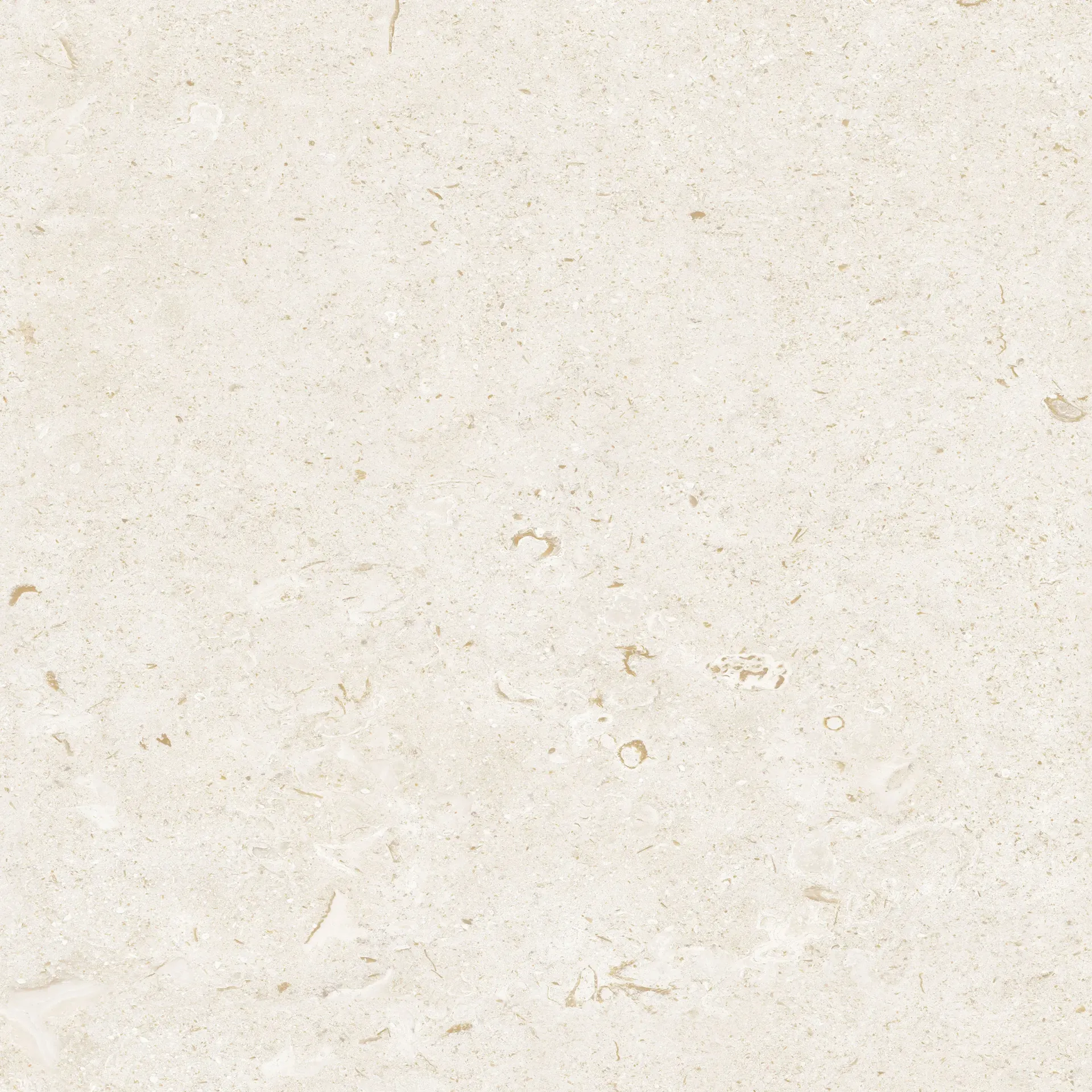 [FOSSILIVOOD] Fossil Ivory 600x600 Smooth Grip