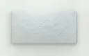 Dymo Fishscale 300x600 Matt