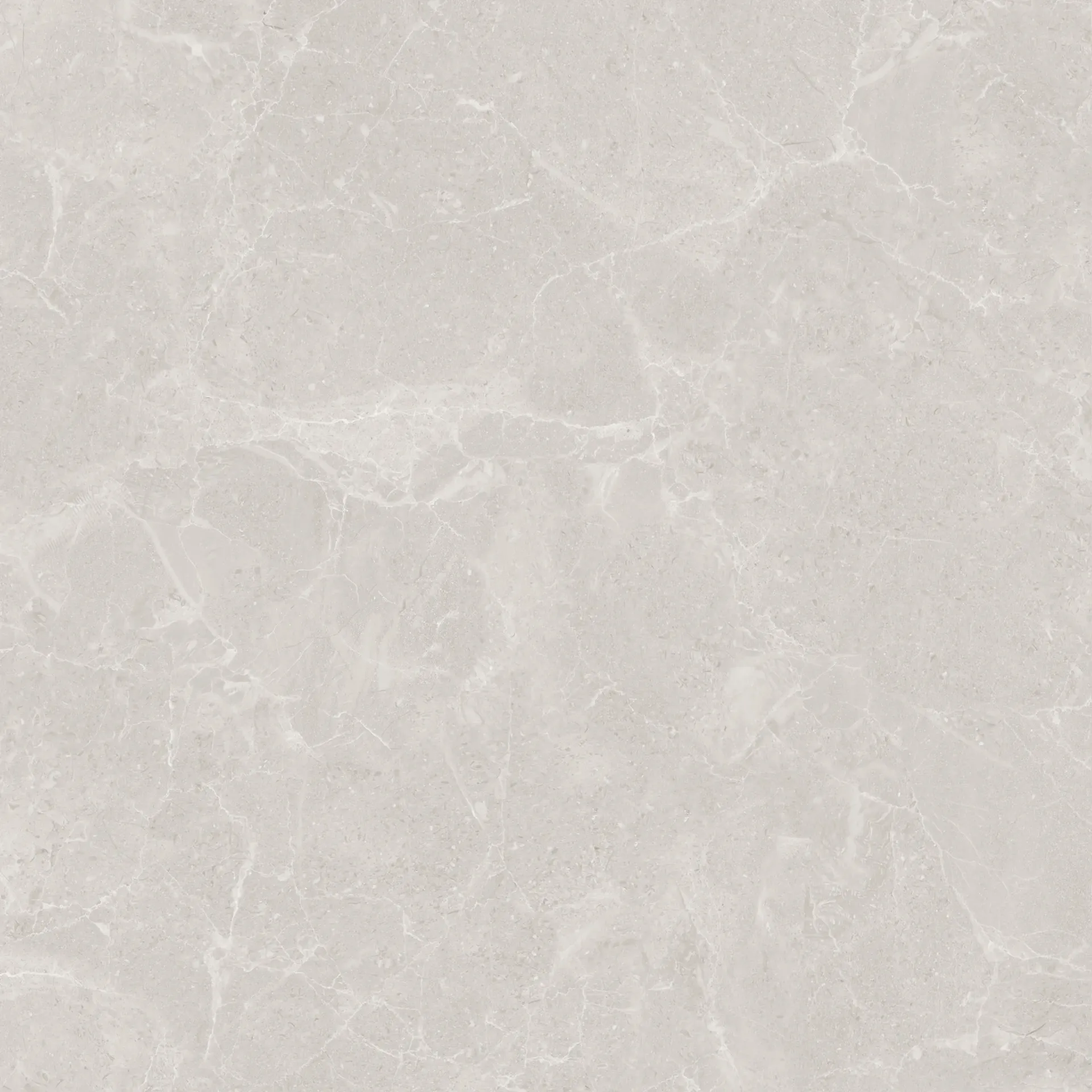 [ROMAIVOMATT] Roma Ivory 600x600 Matt