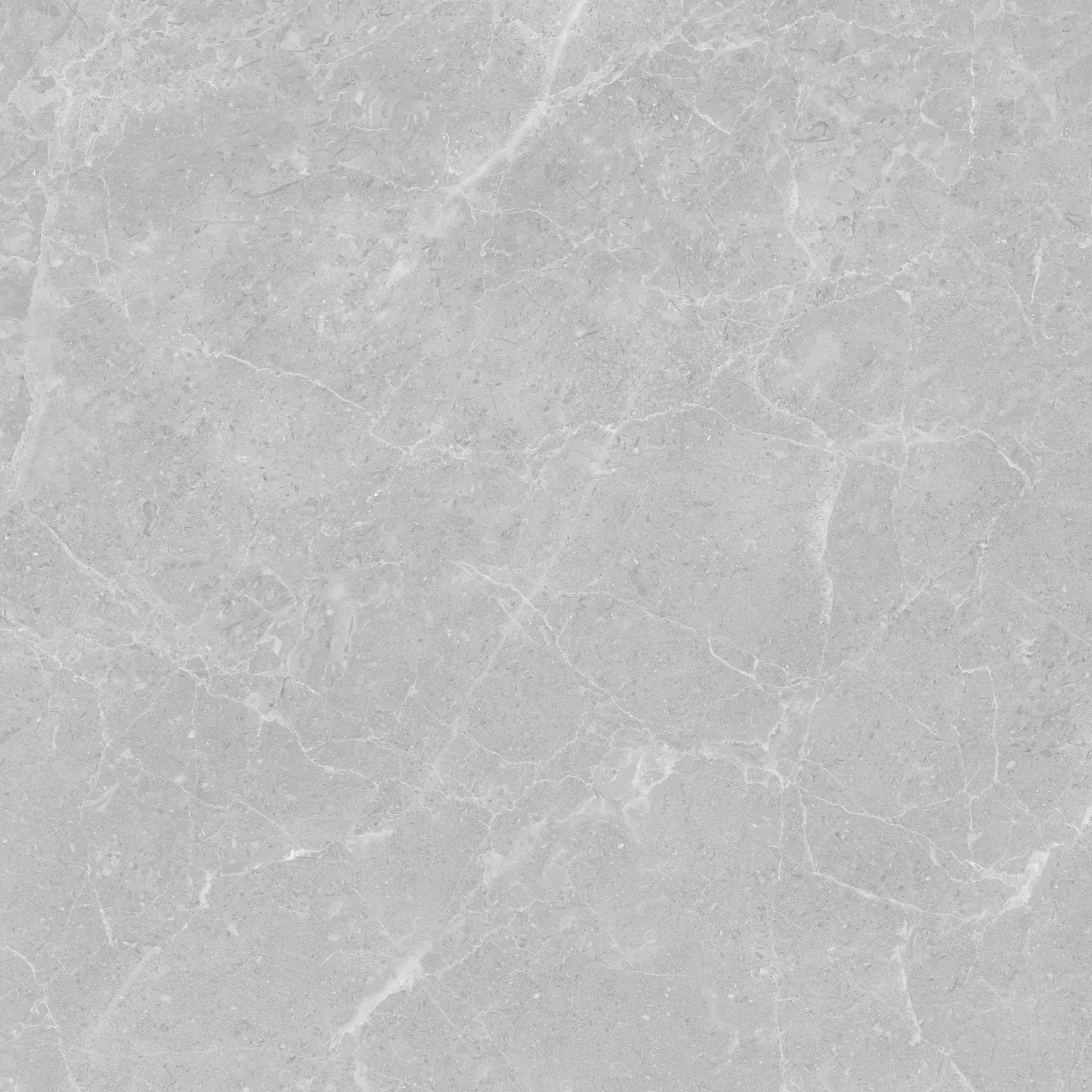 [ROMALTGMATT] Roma Light Grey 600x600 Matt