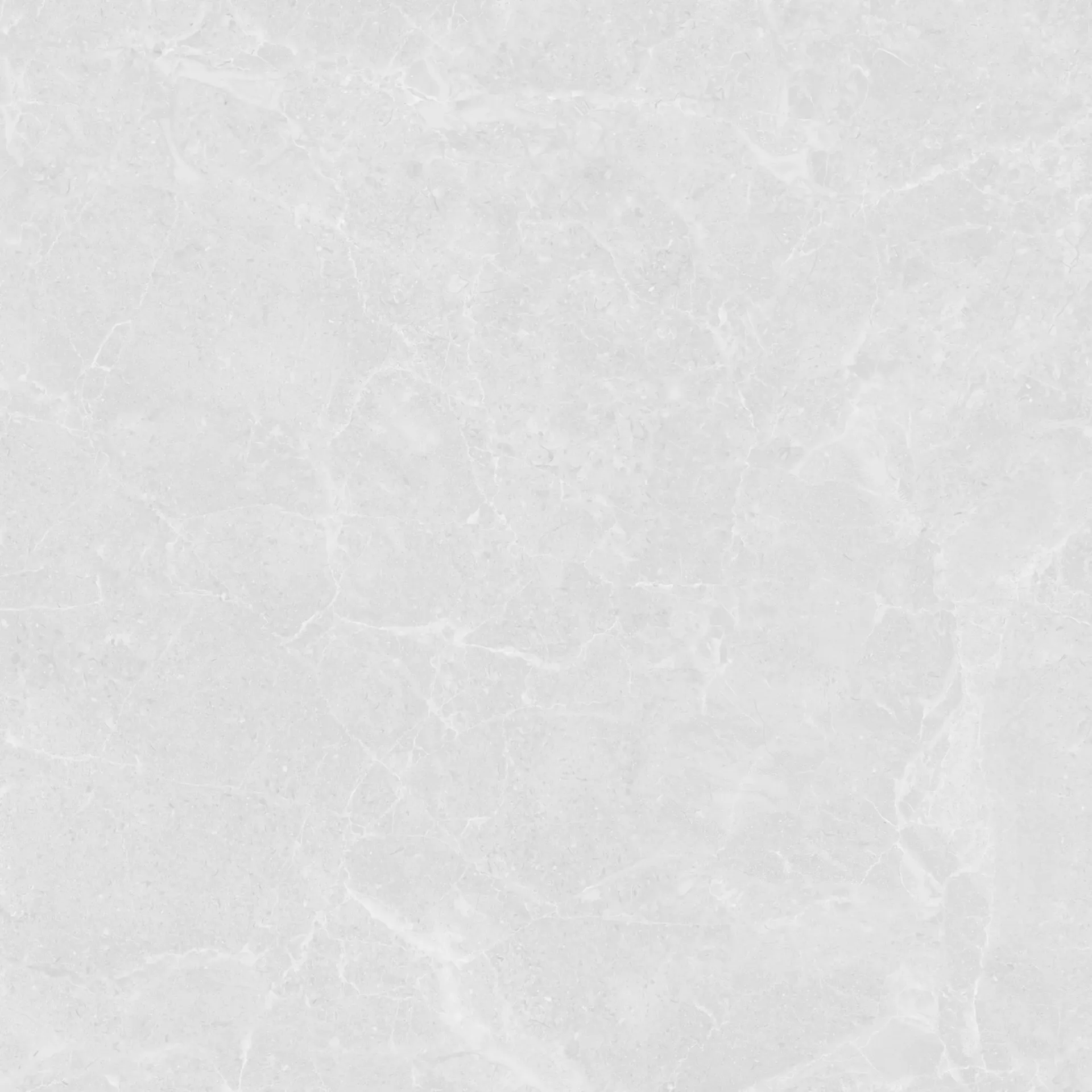Roma White 600x600 Matt
