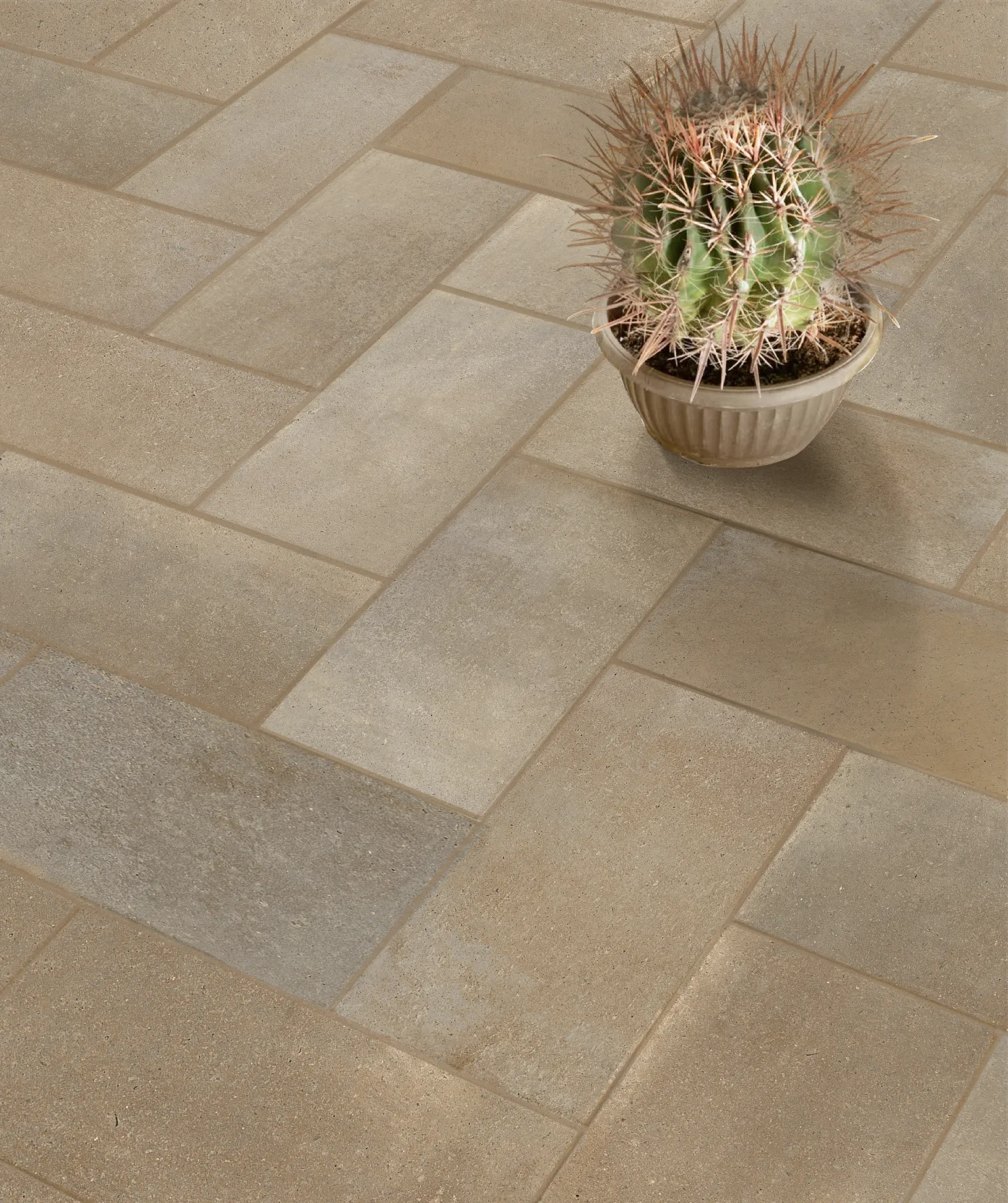 [TC02-M5-RECT] Cotto Siena 10x20