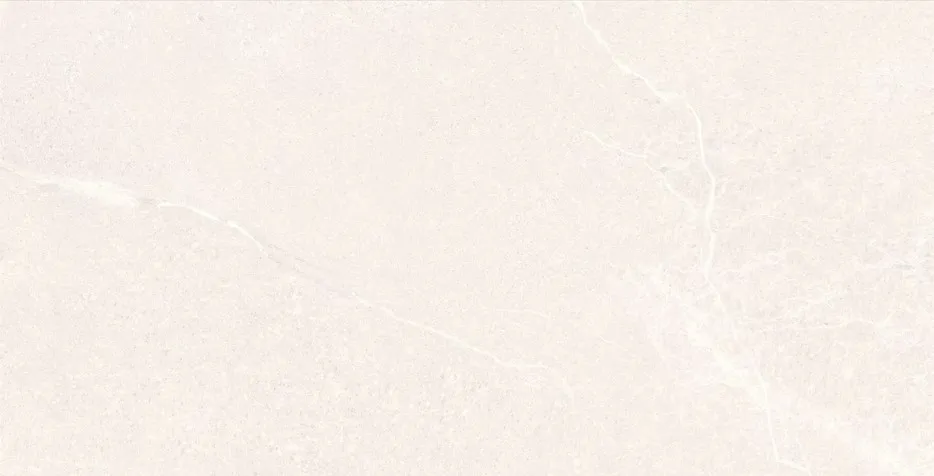 [WINSNOMATT3X6M] Winter Snow 300x600 Matt